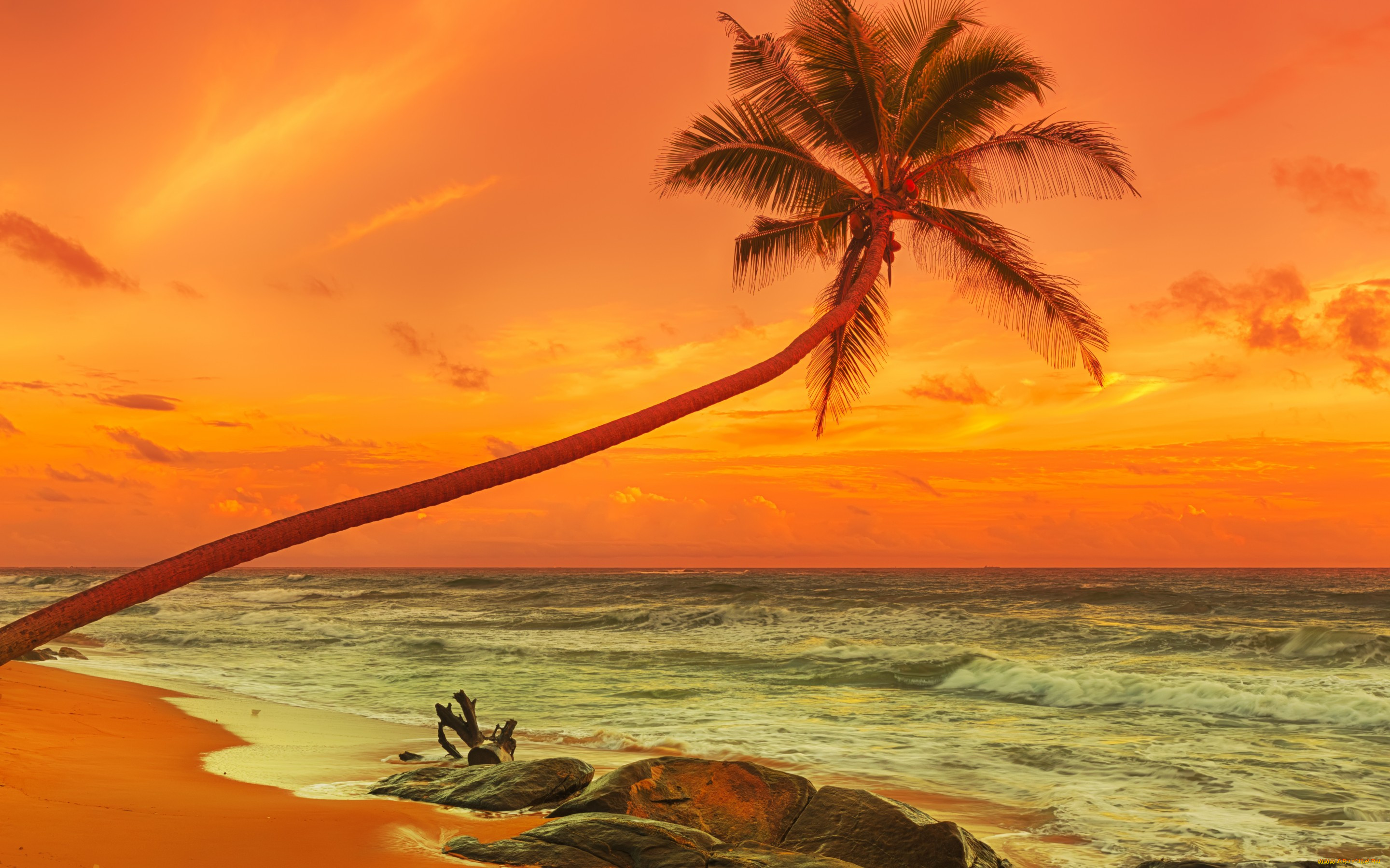 , , , , , , , , sand, tropical, paradise, shore, sea, beach, sunset